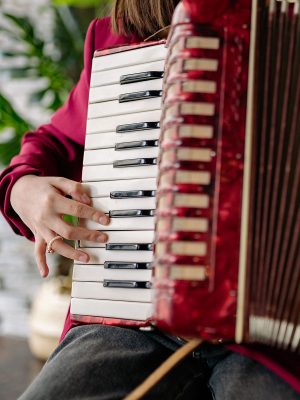 Harmonikainstrumente